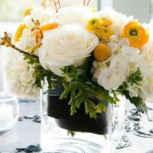 Meet your Posher, Redbirdbluebird123